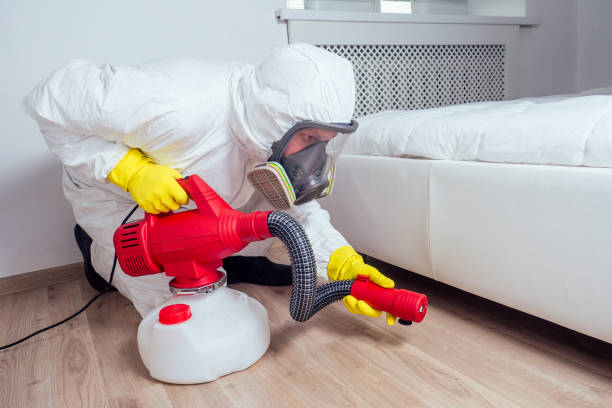 Best Rat Extermination Near Me  in Hobart, OK