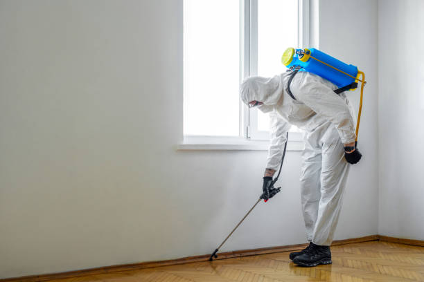 Best Pest Removal Services  in Hobart, OK
