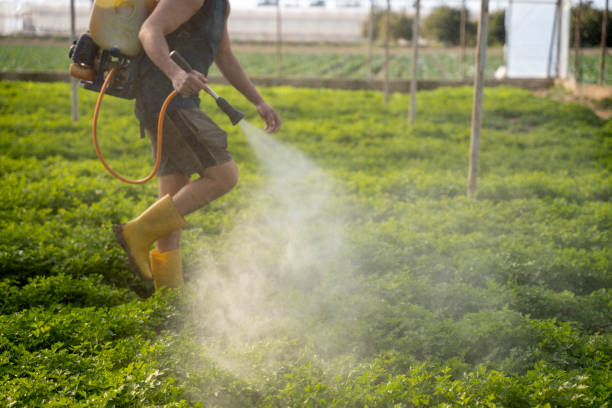Best Best Pest Control Companies  in Hobart, OK
