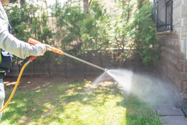 Best Spider Control Near Me  in Hobart, OK