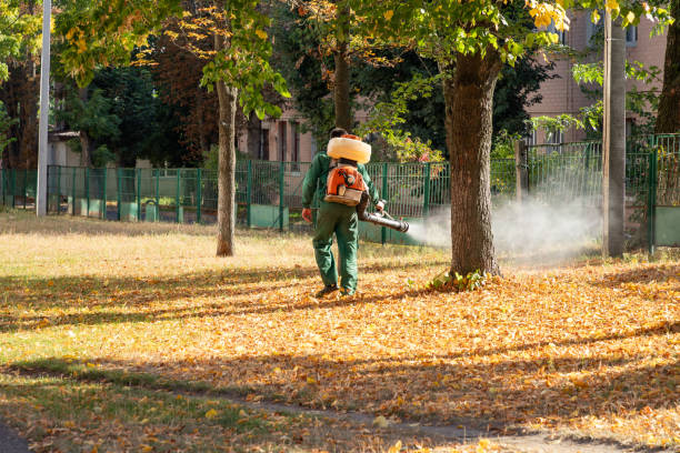 Best Best Pest Control Companies  in Hobart, OK